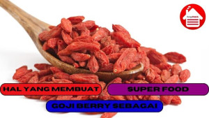 10 Alasan Mengapa Goji Berry Disebut Super Food