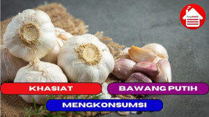 10 Manfaat Memakan Bawang Putih Untuk Tubuh