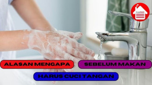 5 Alasan Kenapa Kita Harus Cuci Tangan Sebelum Makan