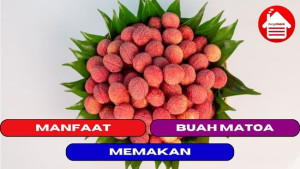 10 Manfaat Memakan Buah Matoa