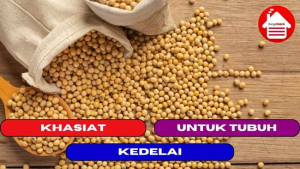 10 Khasiat dari Kedelai yang Baik Untuk Tubuh