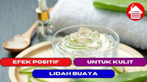 5 Efek Positif Lidah Buaya untuk Kulit Kita