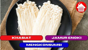 7 Khasiat Mengkonsumsi Jamur Enoki Untuk Kebaikan Tubuh