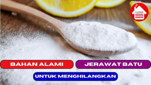 5 Bahan Alami yang Dapat Menghilangkan Jerawat Batu