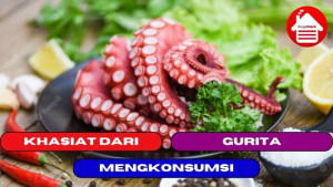 7 Manfaat Memakan Gurita Bagi Tubuh Kita