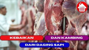 2 Kebaikan Dari Daging Sapi dan Daging Kambing