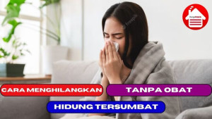 4 Cara Menghilangkan Hidung Tersumbat Tanpa Obat