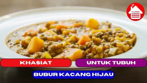 10 Khasiat Bubur Kacang Hijau Untuk Tubuh