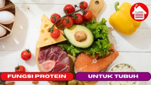 7 Fungsi Protein yang Baik Untuk Tubuh