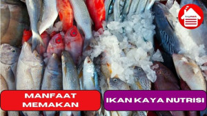 4 Manfaat Memakan Ikan yang Kaya Nutrisi