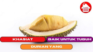 10 Khasiat Durian yang Baik Untuk Tubuh