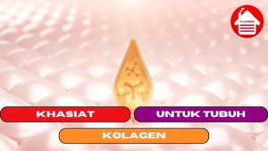 5 Khasiat Kolagen Untuk Kesehatan Tubuh