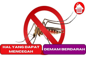 5 Hal yang Dapat Mencegah Demam Berdarah