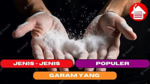 5 Jenis Garam yang Populer di Dunia