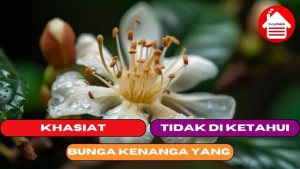 10 Khasiat Bunga Kenanga yang Tidak di Ketahui