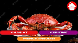 10 Khasiat Mengskonsumsi Kepiting 