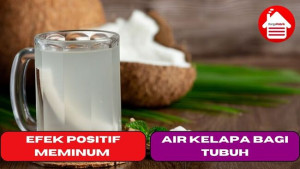 4 Efek Positif Meminum Air Kelapa Bagi Tubuh