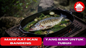 10 Manfaat Ikan Bandeng yang Baik Untuk Tubuh