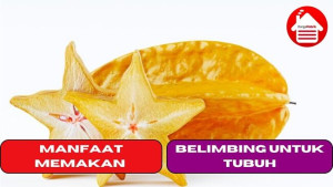 5 Manfaat Memakan Belimbing Untuk Tubuh