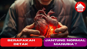 Berapakah Detak Jantung Normal Manusia ?