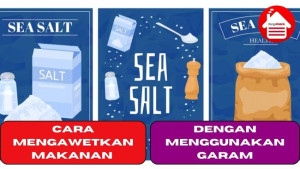 3 Cara mengawetkan Makanan Dengan Menggunakan Garam