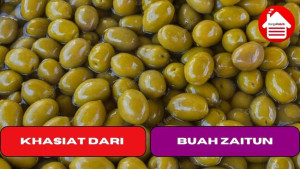 7 Khasiat Dari Buah Zaitun