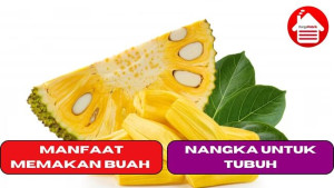 5 Manfaat Memakan Buah Nangka Untuk Tubuh