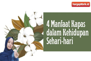 Ini Dia 4 Manfaat Kapas dalam Kehidupan Sehari-hari