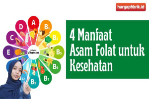 4 Manfaat Asam Folat untuk Kesehatan