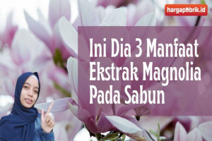 Ini Dia 3 Manfaat Ekstrak Magnolia Pada Sabun