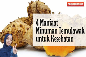 4 Manfaat Minuman Temulawak untuk Kesehatan