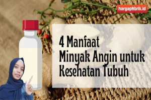 4 Manfaat Minyak Angin untuk Kesehatan Tubuh