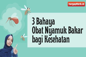 3 Bahaya Obat Nyamuk Bakar bagi Kesehatan