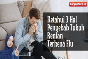 Ketahui 3 Hal Penyebab Tubuh Rentan Terkena Flu