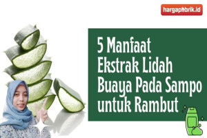 5 Manfaat Ekstrak Lidah Buaya Pada Sampo untuk Rambut