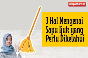 3 Hal Mengenai Sapu Ijuk yang Perlu Diketahui