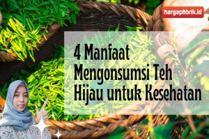 4 Manfaat Mengonsumsi Teh Hijau untuk Kesehatan