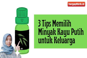 Ini Dia 3 Tips Memilih Minyak Kayu Putih untuk Keluarga