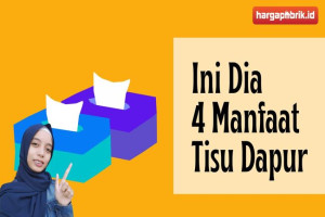 Ini Dia 4 Manfaat Tisu Dapur