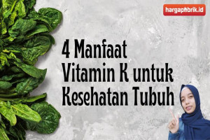 4 Manfaat Vitamin K untuk Kesehatan Tubuh