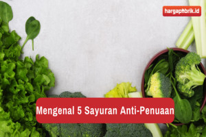 Mengenal 5 Sayuran Anti-Penuaan