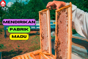 Berikut 6 Langkah Mendirikan Pabrik Madu