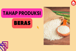 Simak 8 Tahap Produksi Beras Berikut Ini