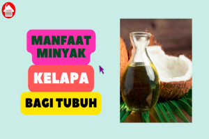 Berikut 8 Manfaat Minyak Kelapa bagi Tubuh