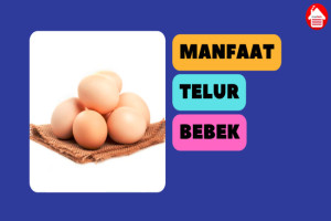 7 Manfaat Telur Bebek yang Perlu Anda Ketahui