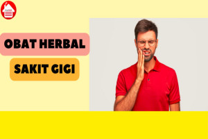 5 Obat Herbal untuk Sakit Gigi: Dijamin Sembuh