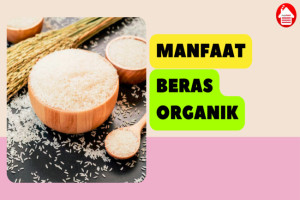 Ketahui 3 Manfaat Utama Beras Organik bagi Kesehatan