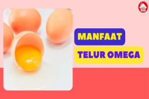 6 Manfaat Telur Omega: Sumber Protein Berkualitas Tinggi