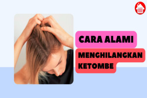 10 Cara Alami Menghilangkan Ketombe Secara Efektif dan Mudah