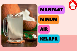 7 Manfaat Minum Air Kelapa: Bantu Jaga Kesehatan Jantung